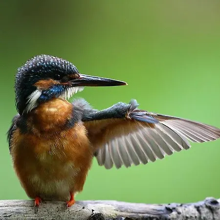 Taevaskoja Salamaa Gasthuis Põlva
