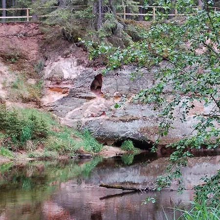 Taevaskoja Salamaa *