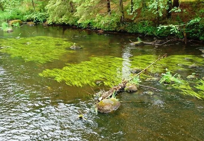 Taevaskoja Salamaa Guest house