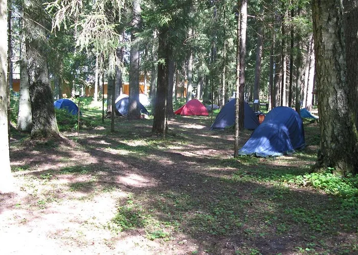 Taevaskoja Salamaa * Polva